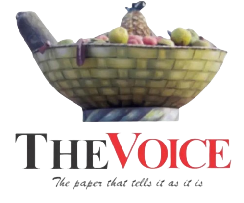 The Voice Newspaper